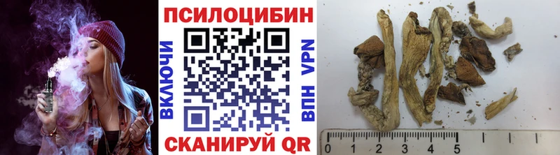 Псилоцибиновые грибы мухоморы  закладки  Пошехонье 